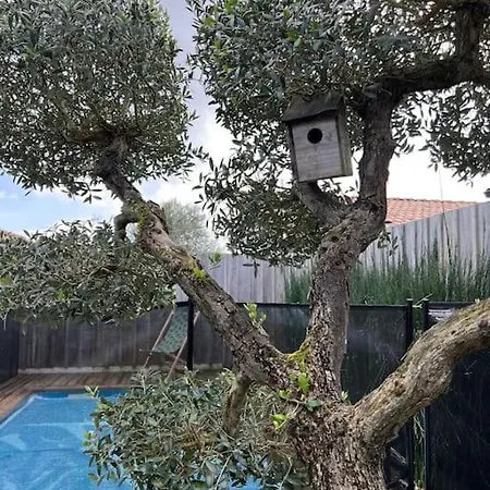 Ferienhaus Spa, Climatisation, Piscine Chauffee, Petanque Et Calme Au Bassin D'arcachon Le Teich