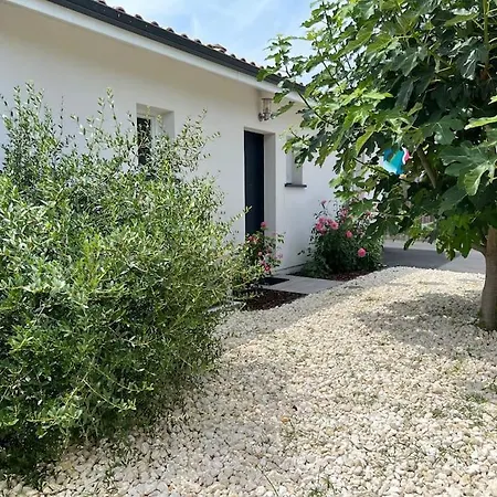Spa, Climatisation, Piscine Chauffee, Petanque Et Calme Au Bassin D'arcachon Le Teich